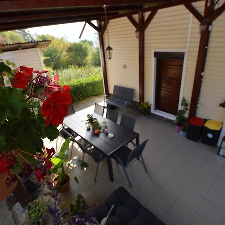 Piatra Neamţ Casa Irinaヴィラ エクステリア 写真
