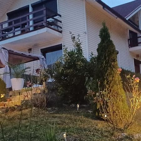 Piatra Neamţ Casa Irinaヴィラ エクステリア 写真