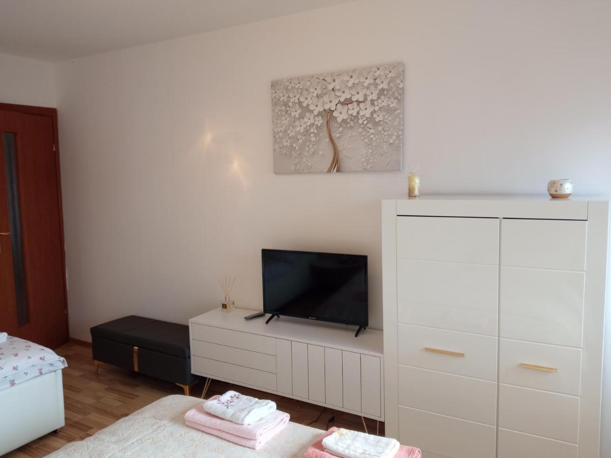 Piatra Neamţ Casa Irinaヴィラ エクステリア 写真