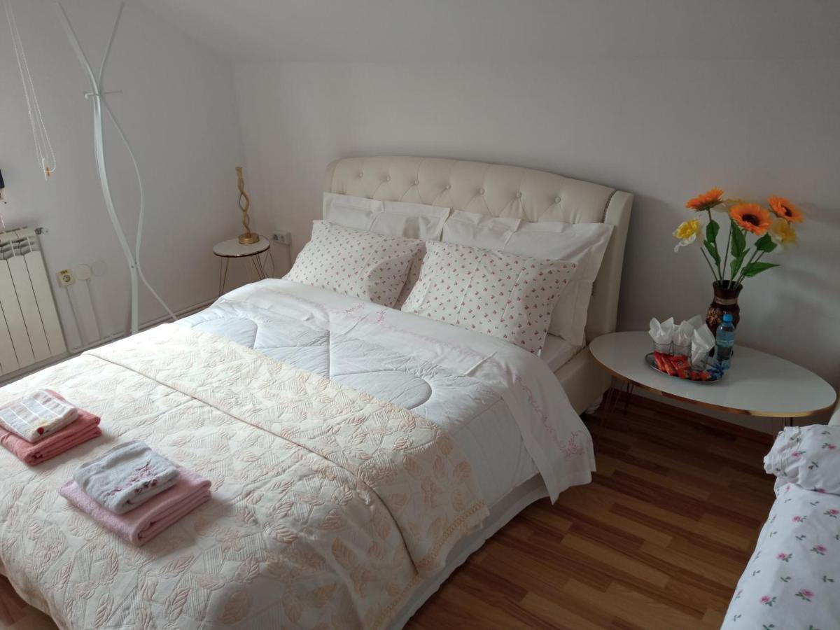 Piatra Neamţ Casa Irinaヴィラ エクステリア 写真