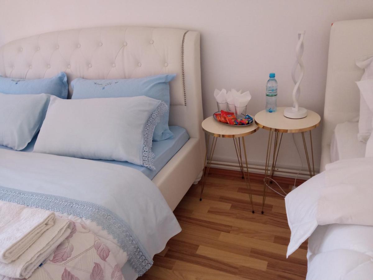 Piatra Neamţ Casa Irinaヴィラ エクステリア 写真