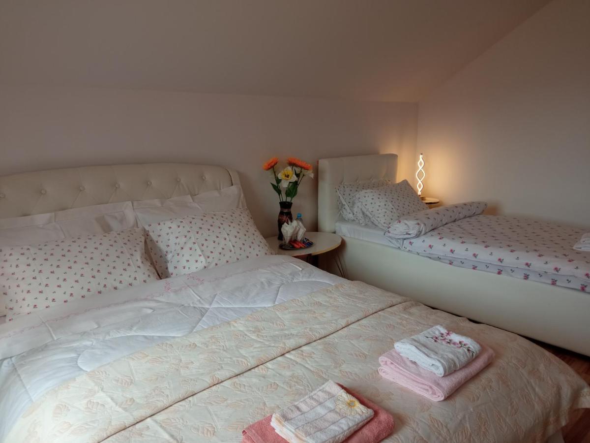 Piatra Neamţ Casa Irinaヴィラ エクステリア 写真