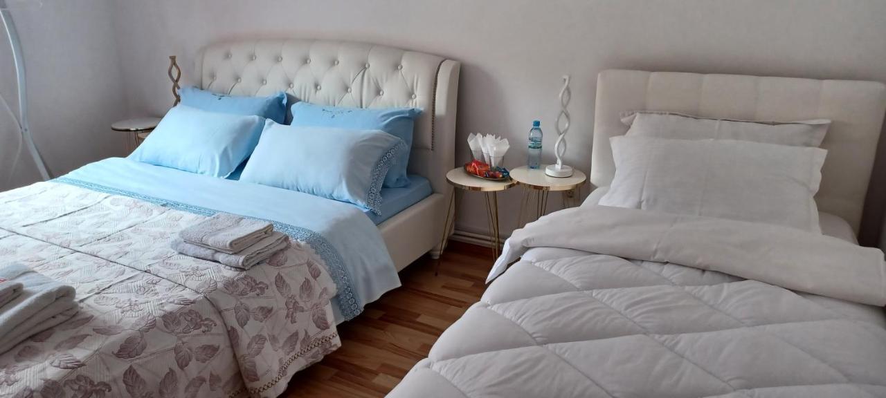 Piatra Neamţ Casa Irinaヴィラ エクステリア 写真
