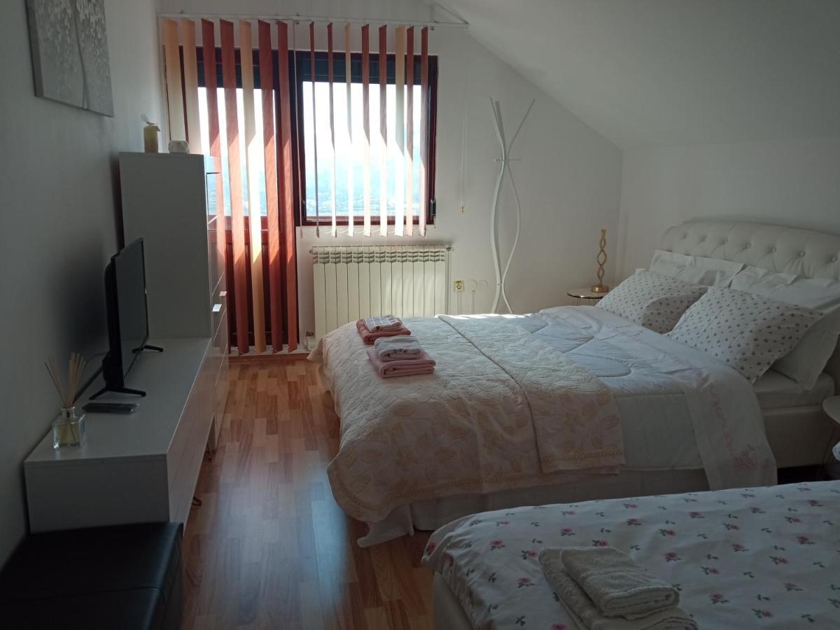 Piatra Neamţ Casa Irinaヴィラ エクステリア 写真