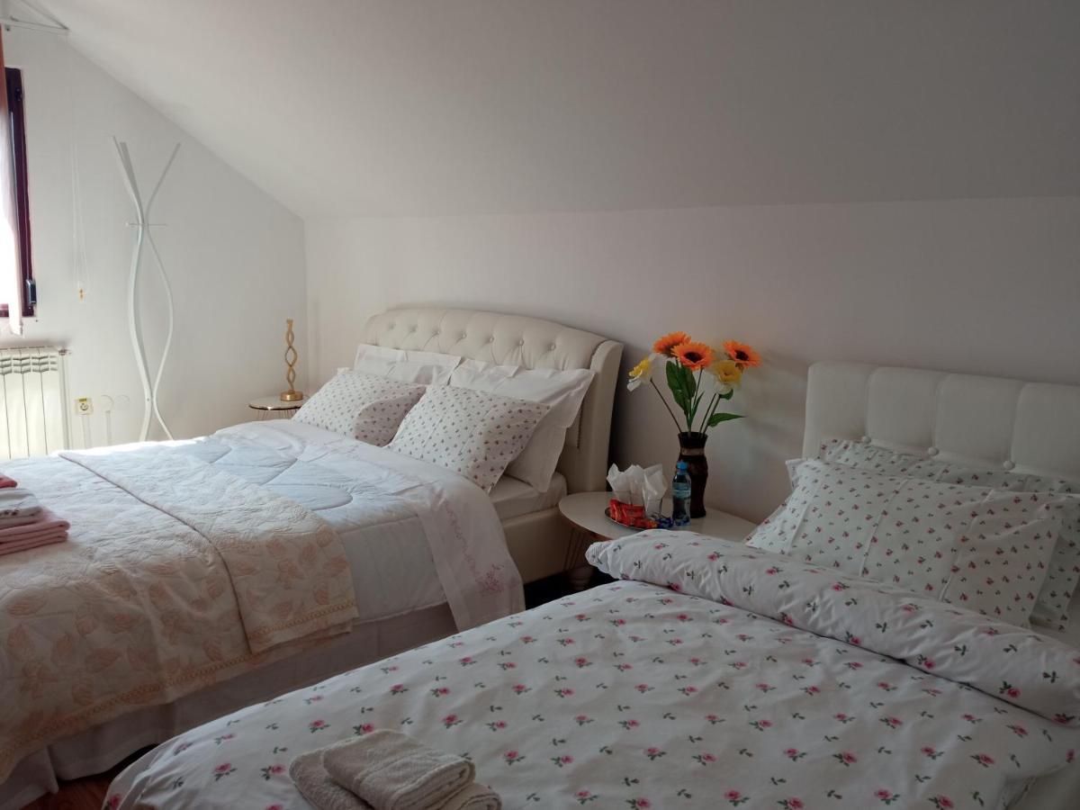 Piatra Neamţ Casa Irinaヴィラ エクステリア 写真