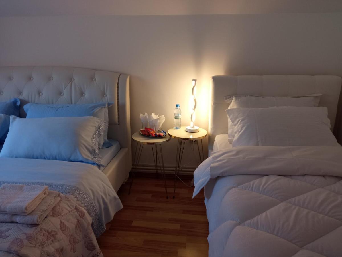 Piatra Neamţ Casa Irinaヴィラ エクステリア 写真