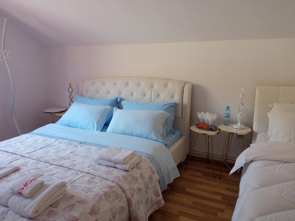 Piatra Neamţ Casa Irinaヴィラ エクステリア 写真