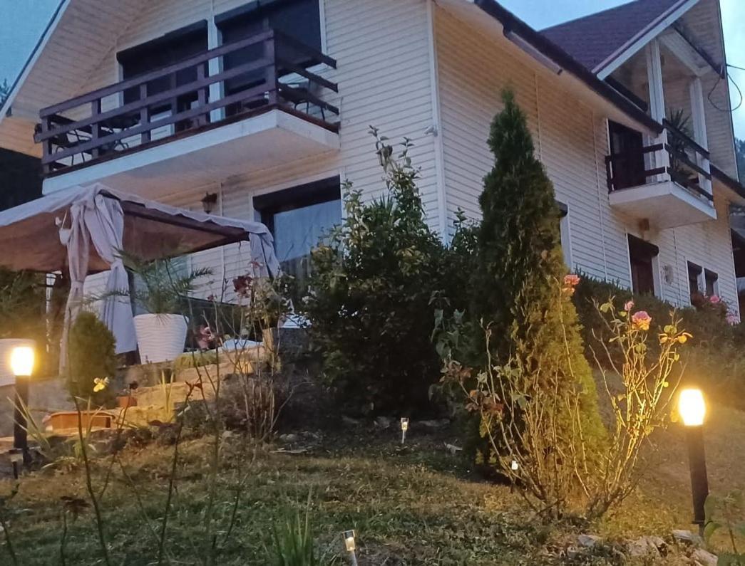 Piatra Neamţ Casa Irinaヴィラ エクステリア 写真