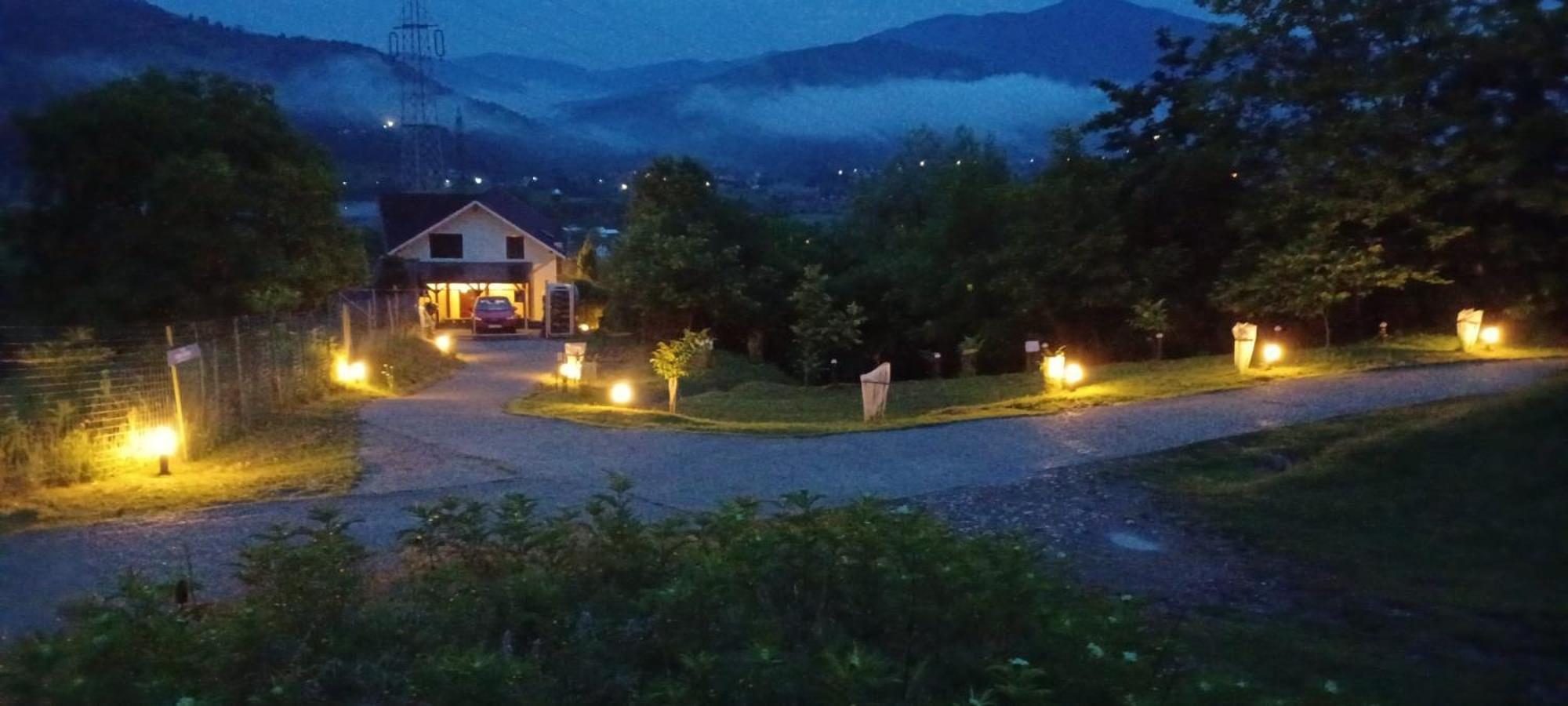 Piatra Neamţ Casa Irinaヴィラ エクステリア 写真