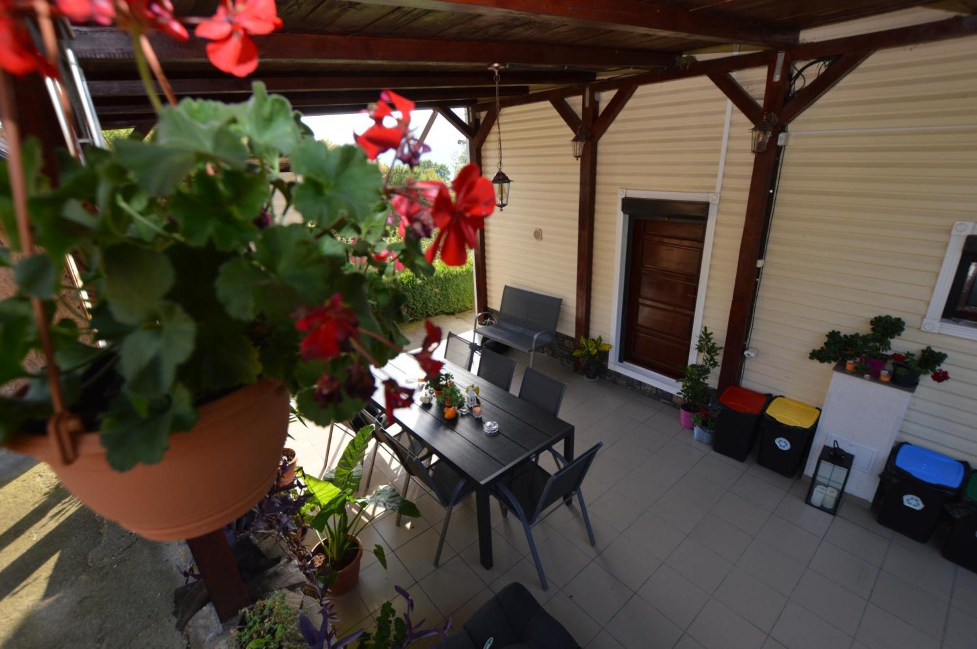 Piatra Neamţ Casa Irinaヴィラ エクステリア 写真