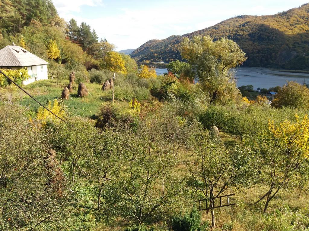 Piatra Neamţ Casa Irinaヴィラ エクステリア 写真